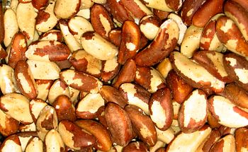 Brazil nuts come from a South American tree