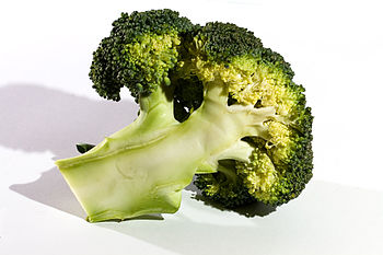Brocolli, Unknown Cultivar