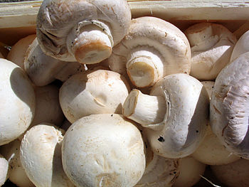 White mushrooms ready for cooking. While commo... White mushrooms ready for cooking. While commo...