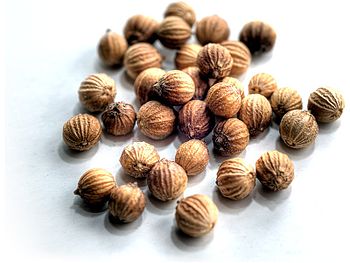 Koriandersamen / Coriander fruit