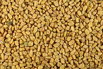 Fenugreek seeds. Fenugreek seeds.